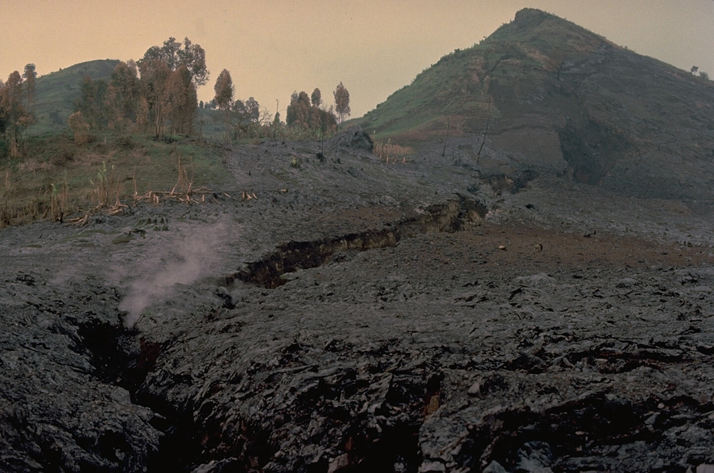 Part of the 6-km-long 10 January 1977 eruptive fissure on the south flank of Nyiragongo is seen in this February 1977 photo.  Extremely fluid lava from fissures on the north and south flanks suddenly drained Nyiragongo's summit-crater lava lake.  The rapidly moving flows killed 70 people and 800 were left homeless.  The dramatic eruption was over in a matter of hours.  Conversion of ground water to steam when lava lake terraces collapsed produced a dark gray ash cloud that rose 1 km and caused partial darkness in the city of Goma.   Copyrighted photo by Katia and Maurice Krafft, 1977.