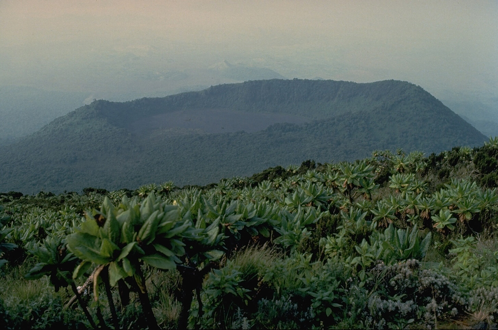 Shaheru is one of two large satellitic volcanoes of Nyiragongo.  The summit of the south-flank volcano is capped by a roughly 800-m wide crater.  A larger stratovolcano, Baruta, was constructed on the northern flank.  These two volcanoes give Nyiragongo a double-shouldered profile. Copyrighted photo by Katia and Maurice Krafft, 1982.