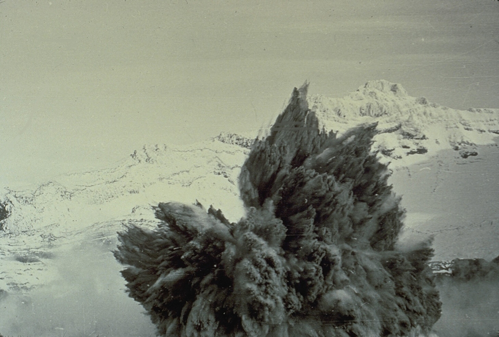 A Surtseyan eruption on 8 May 1971 at Crater Lake at the summit of Ruapehu volcano in New Zealand ejects a dark cock’s tail jet of volcanic ash, mud, and steam. Individual ejected blocks can be seen at the margins of the plume. This type of eruption column is typical of explosions that involve water-magma interactions. Photo by Peter Otway, 1971 (New Zealand Geological Survey).