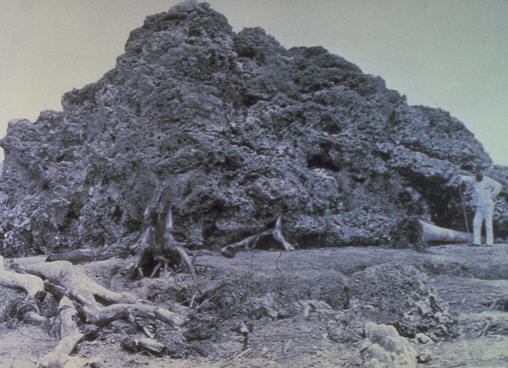 This large block of coral was torn from offshore reefs and thrown inland near Anjer, NW Java (about 55 km from Krakatau), by the powerful tsunami produced during the 1883 eruption. The 300 m3 coral block weighed approximately 600 tons (note the person at right for scale). Photo from Royal Institute for the Tropics, Amsterdam, 1886 (published in Simkin and Fiske, 1983).