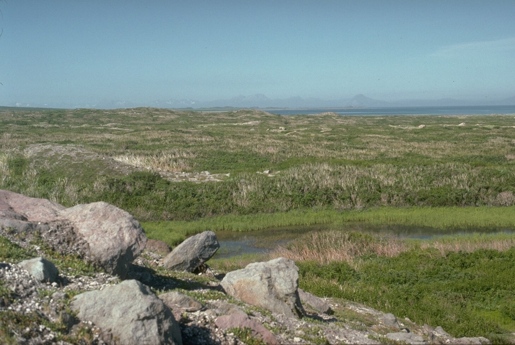 The vegetated terrain seen here is the surface of the Rocky Point debris avalanche deposit, produced by collapse of the summit of Augustine about 250-450 years ago. The avalanche traveled into Cook Inlet, visible at the upper left with the Chigmit Mountains in the background, for a distance of 8 km and extended the shoreline by 2 km. Photo by Lee Siebert, 1990 (Smithsonian Institution).