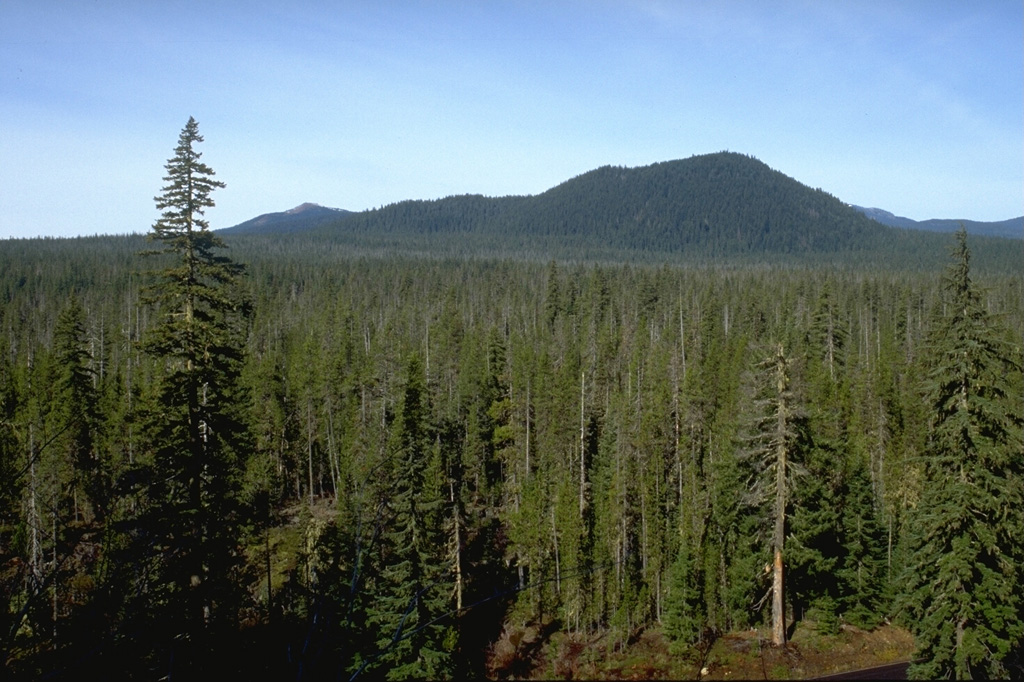 The forested slope in the foreground is part of the Big Lava Bed, a 0.9 km3 lava flow that erupted from the scoria cone in the background about 9,000 years ago. The lava flow traveled 13 km from the crater and is the youngest feature of the Indian Heaven volcanic field. Photo by Lee Siebert, 1995 (Smithsonian Institution).