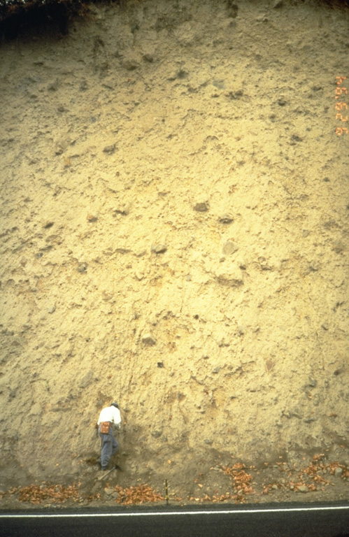 A thick lahar deposit resulted from a 100,000-year-old debris avalanche produced by a collapse of the N side of Mount Hood. It swept down the Hood River valley and traveled across the Columbia River, temporarily damming it to a depth of 30 m. This thick outcrop that contains rounded boulders in a clay-rich matrix, is located N of Underwood, Washington, on the other side of the Columbia River. Photo by Willie Scott, 1994 (U.S. Geological Survey).