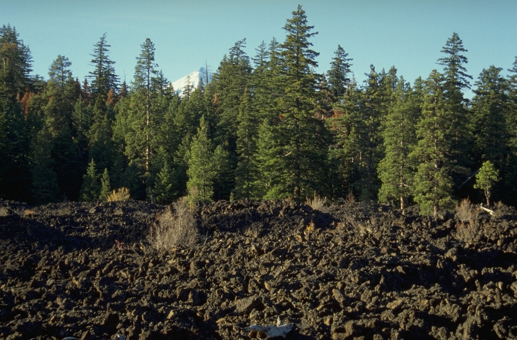 The Jefferson Creek lava flow traveled 13 km down Jefferson and Candle Creeks from an unnamed cinder cone NE of Forked Butte and is younger than the nearby 6,500-year-old Forked Butte lava flow. The two flows traveled down different drainages and joined near this point. The snow-covered summit of Mount Jefferson is visible above the trees. Photo by Lee Siebert, 1995 (Smithsonian Institution).