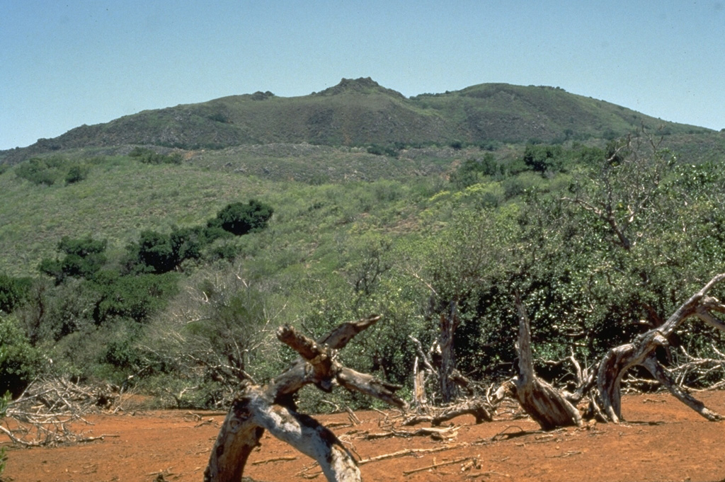 Cerro Evermann is a large cone and lava dome complex that forms the summit of Socorro. It, along with other cones and lava domes, largely fill a 3.8 x 4.5 km caldera at the summit of a shield volcano. Historical eruptions have been restricted to flank vents. Photo by Steve Nelson, 1989 (Tulane University).