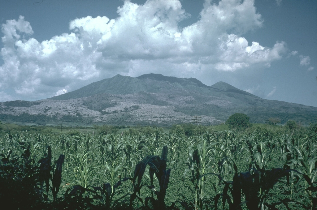 Ceboruco, seen here from the west, contains two summit calderas. The rim of the older caldera, which collapsed about 1,000 years ago following eruption of the Jala Pumice, forms the peaks to the left and right of the summit. The thick, light-gray-colored lava flow at the mid left and center part of the photo was produced during the 1870-75 eruption. Photo by Jim Luhr, 1974 (Smithsonian Institution).