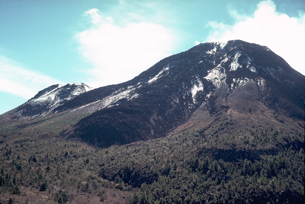 The thick viscous lava flow in the center was emplaced in 1961 during a period of dome growth. The flow traveled over the rim of the summit crater, eventually reaching the caldera floor by the end of 1962. The flow is seen here in 1978 from the caldera rim NW of the Colima summit. El Volcancito, the lava dome forming the NE-flank peak to the left, formed during the 1869 eruption. The forested lava flow to the lower right was probably erupted in 1872. Photo by Jim Luhr, 1978 (Smithsonian Institution).