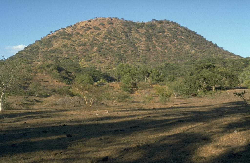 The principal vent of Jorullo  formed the scoria cone seen here from the SSE that grew to 250 m in height during the first month and a half of the 1759 eruption. Lava flows were erupted at some unknown later time from four flank vents located along a NE-SW fissure cutting through the main cone.  Photo by Jim Luhr, 1996 (Smithsonian Institution).