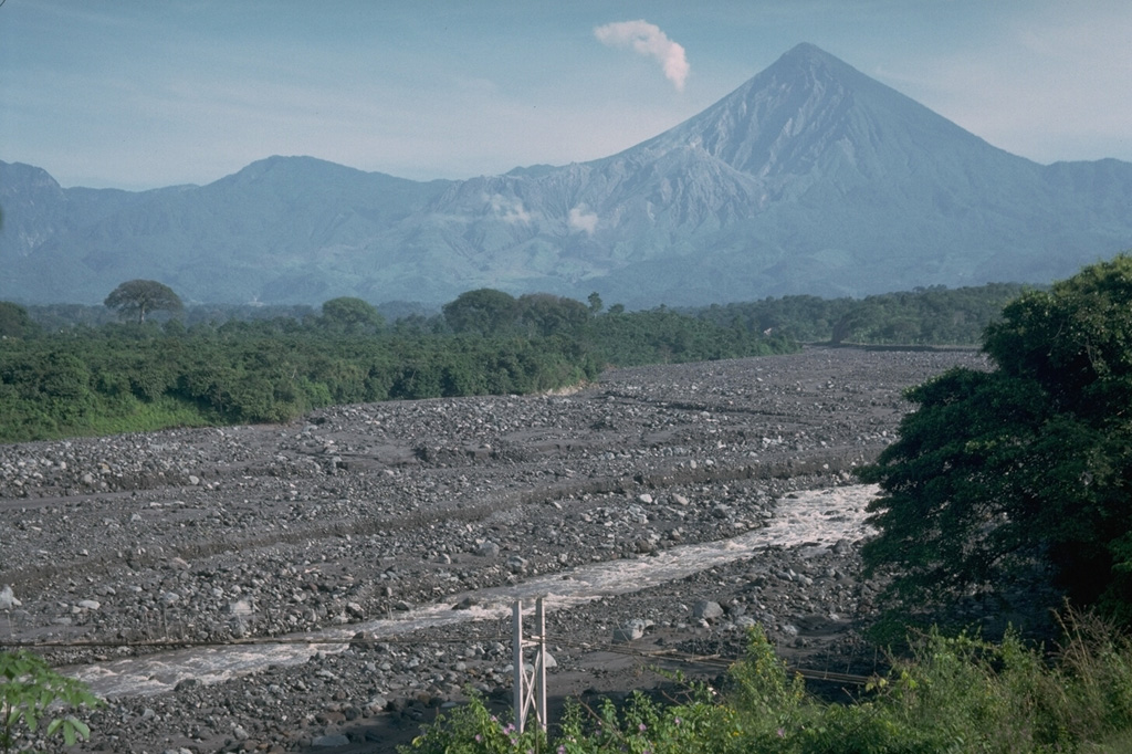 Lahar deposits produced by the remobilization of Santiaguito lava dome collapse deposits. The dome is visible below the steam plume to the left of Guatemala's Santa María volcano. Lahars have dramatic effects on downstream drainages, as seen in this December 1988 photo that shows the Río Tambor to the SW, filled bank-to-bank with debris. Bridges such as the one in the foreground have frequently been destroyed during rainy-season lahars, which have traveled 35 km or more from the volcano. Photo by Lee Siebert, 1988 (Smithsonian Institution).