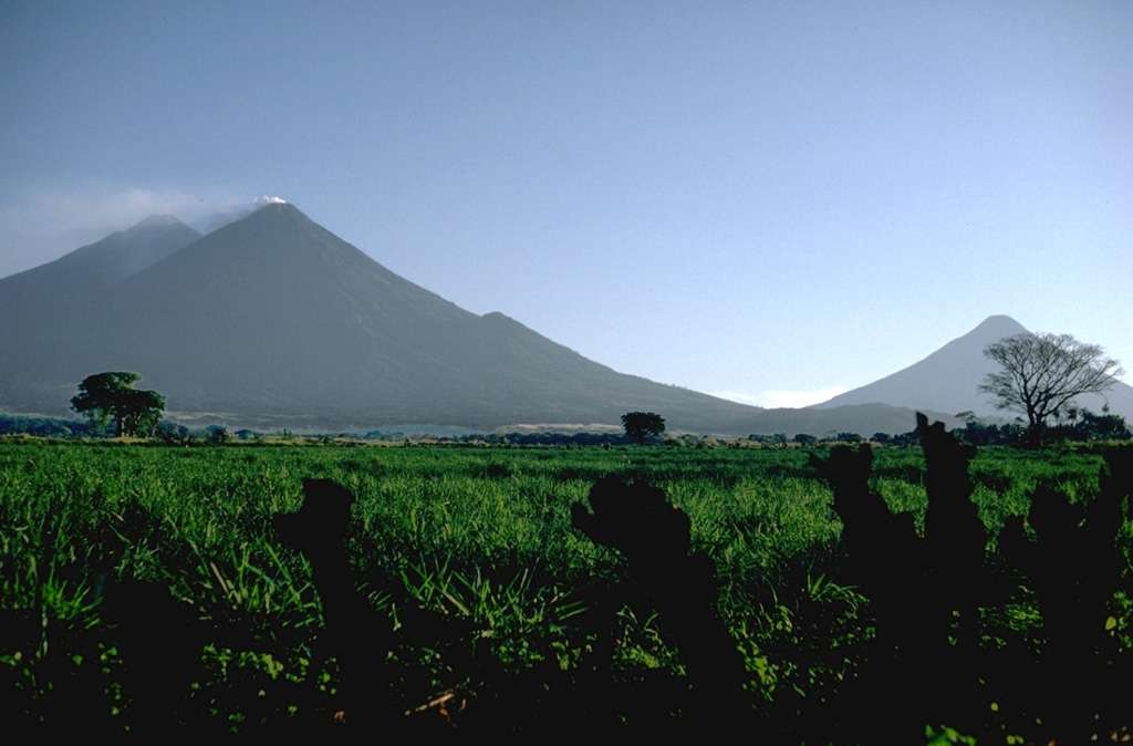 Three stratovolcanoes tower more than 3,500 m above the Guatemala Pacific coastal plain. Acatenango is the highest of the three, a small gas plume drifts from the summit of Fuego, and Volcán de Agua to the far right rises above a low saddle between it and Volcán de Fuego. Photo by Lee Siebert, 1988 (Smithsonian Institution).