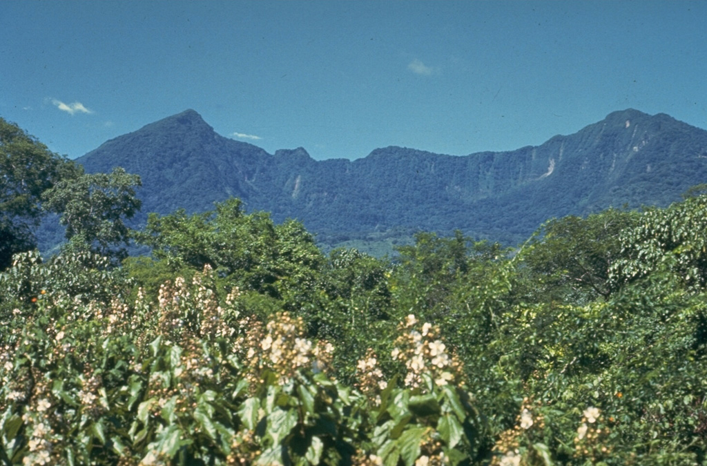 The south side of Mombacho contains a horseshoe-shaped crater that was the source of a large debris avalanche in 1570 CE that swept over a village south of the volcano, killing 400 people. The avalanche traveled 13 km S; contemporary accounts note that if it had occurred to the north, it would have reached the city of Granada. Contemporary accounts indicate that the volcano "exploded," but eruptive activity associated with the collapse has not been documented. Photo by Jaime Incer.