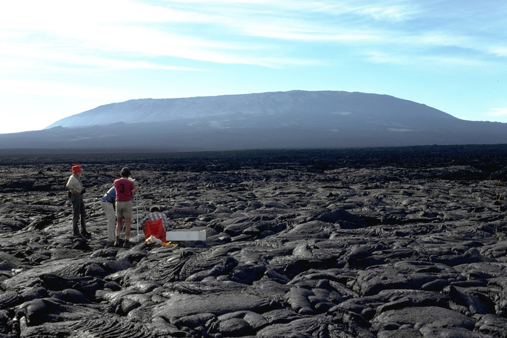 Fernandina volcano in the Galápagos exhibits steep upper flanks formed by eruptions of lava flows from circumferential fissures around a summit caldera rim, contrasting with the broad, low-angle lower flanks. Scientists from the Smithsonian Institution, U.S. Geological Survey, and the Charles Darwin Research Station conduct measurements on a pahoehoe lava flow near the SE coast. Young, unvegetated lava flows cover the flanks. Photo by Chuck Wood, 1978 (Smithsonian Institution).