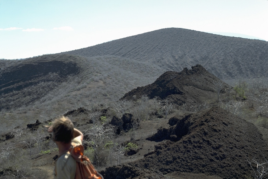 The spatter cones at the right are part of a chain of conelets built of scoria and lava agglutinate erupted from a SW-flank radial fissure from Darwin volcano that cuts across the rim of Tagus tuff cone.  Tagus tuff cone contains at least four nested craters.  The rims of three of these craters are seen in the backgound.  Phreatomagmatic eruptions, resulting from the interaction of magma with seawater, produced the tuff cones. Photo by Lee Siebert, 1978 (Smithsonian Institution).