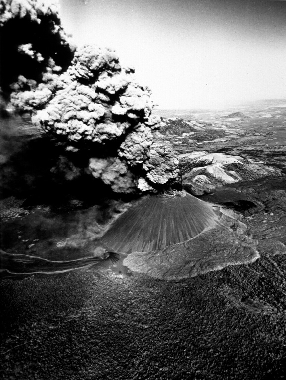 A thick ash column rises from Cerro Negro volcano in November 1968 in this aerial view from the south.  A narrow, dark-colored lava flow issues from Cristo Rey, a vent at the SW base of the cone (lower left).  The lighter-colored lava flow lobe below and to the right of the cone was erupted during 1960. Photo by Tom Bretz, 1968 (courtesy of William Melson, Smithsonian Institution).