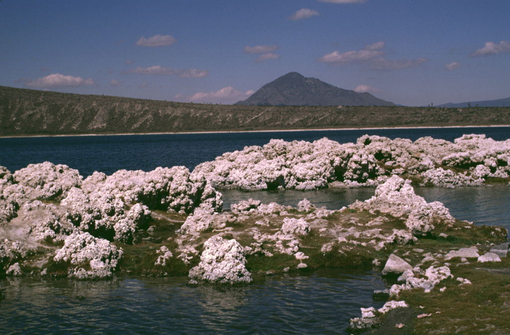 The Laguna Alchichicha maar is the largest of the Serdán-Oriental volcanic field, located just off Highway 140 between Puebla and Jalapa. The low rim of the maar increases in height to the west. The pyroclastic surge deposits contain juvenile fragments of scoriaceous basaltic or basaltic-andesite material. Tufa deposits such as those in the foreground are located along the shore of the lake. Cerro Pizarro in the distance is the northernmost lava dome of the Serdán-Oriental field. Photo by Lee Siebert, 1997 (Smithsonian Institution).