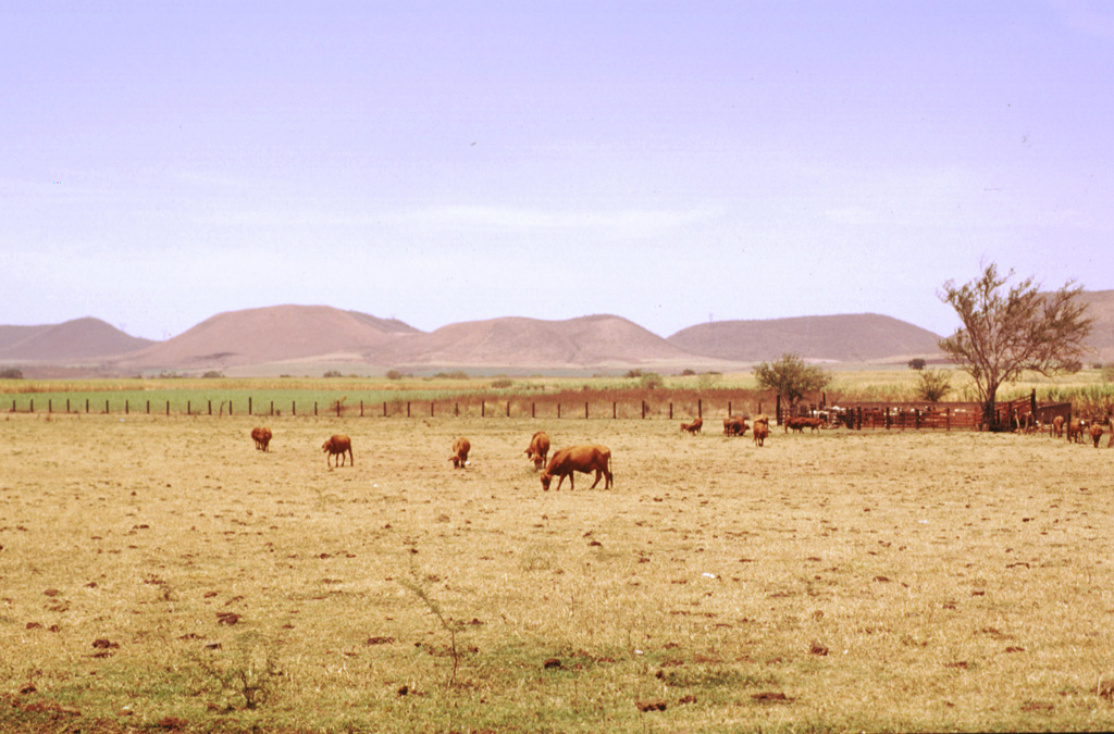 A SE-trending chain of scoria cones extends beyond the flank of Sangangüey volcano into the Tepic basin. Cerro el Molcajete, the flat-topped cone to the right, shares the name of Volcán el Molcajete on the NW flank of Sangangüey. This NW-SE-trending alignment of Pleistocene basalt and mugearite scoria cones is seen here from the south across farmlands near the village of El Limón. Photo by Jim Luhr, 1999 (Smithsonian Institution).