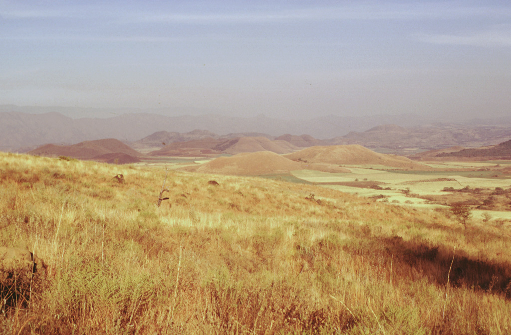 The hills in the center of the photo form part of the SE-flank cone alignment on Sangangüey volcano. This view looks to the SE from the side of cone C4. The cones extend beyond the flanks into the Tepic basin towards the Pleistocene Santa María del Oro maar that erupted through Miocene tuffs beyond the cones, which is not visible in this photo. Photo by Jim Luhr, 1999 (Smithsonian Institution).