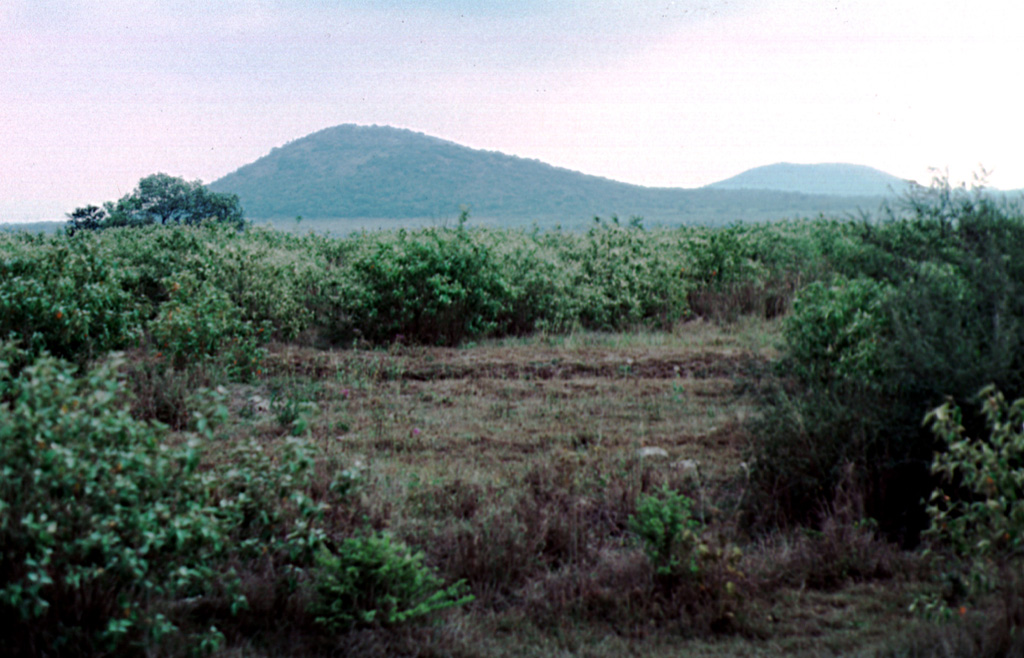 The easternmost of two pyroclastic cones named Cerros Las Hermanas (The Sisters) appears at the left, with an unnamed cone to the NE on the right horizon.  These cones on the low coastal plain along the Gulf of Mexico barely reach 250 m elevation.  The cones are located at the NW end of the Aldama volcanic field, an area of Quaternary phonolitic and basaltic pyroclastic cones and lava flows SE of the Sierra de Tamaulipas.  Trachytic and phonolitic explosive eruptions were followed by the emission of young basaltic lava flows.   Photo by Jim Luhr, 2000 (Smithsonian Institution).