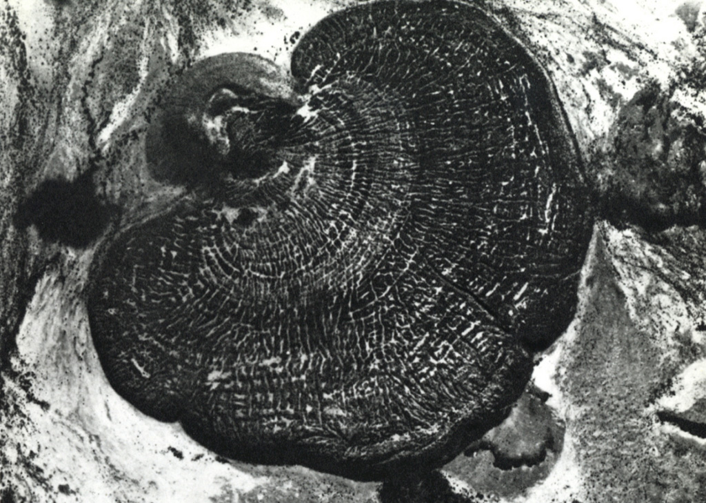 Muruese (upper left) is a breached cone on the lower SW flank of Paka volcano. It fed this lobate trachytic lava flow that is 2 km long and 2.5 km wide. The flow is bounded by steep margins and displays prominent concentric pressure ridges. The dominantly Pleistocene Paka shield volcano in the Gregory Rift contains a small 1.5-km-wide summit caldera that is cut on the SE by a large crater. Photo by Hunting Aereo Surveys (published in Green and Short, 1971).