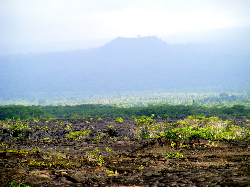 The 75-km-long island of Savai'i, the largest and highest of the Samoan islands, is a low-angle shield volcano. Numerous scoria cones dot the broad low-profile crest. The unvegetated lava flows in the foreground were emplaced during the most recent eruption in 1905. Photo by Karoly Nemeth (Massey University).