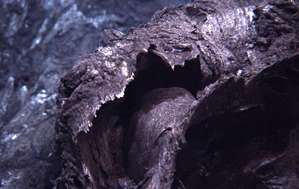 Young curtain lava flow draped and folded over the landscape originated from the Puipui eruption of Maka volcano along the NE Lau Spreading Center, as photographed during a 2009 NOAA Vents Program expedition. A previous expedition documented submarine hydrothermal plumes from Maka volcano on 21 November 2008. The chemistry of water samples suggested that these fluids could be warmed by a recent (days or weeks?) eruption of lava onto the seafloor. A return visit in May 2009 showed fresh lava flows, but without gas emission. Courtesy of NSF and NOAA Ocean Exploration Program, 2009.