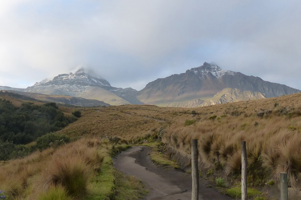 These two edifices form the Illiniza volcanic complex. Seen here from about 4 km NE, Illiniza Norte is to the right and Illiniza is to the left. Photo by Ailsa Naismith, 2015.